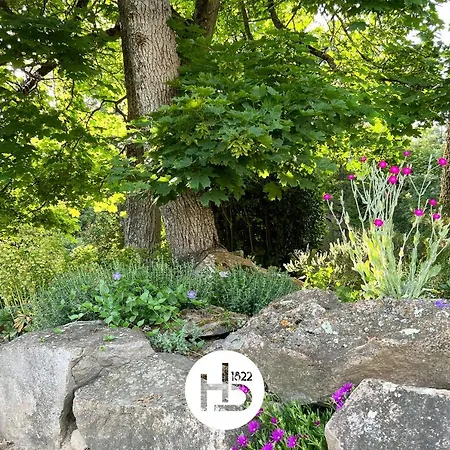 Chateau Hb En Anjou La Chapelle-Saint-Laud